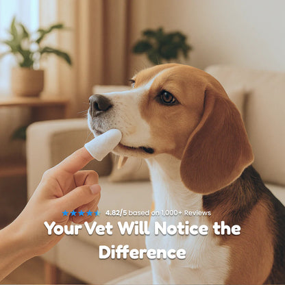 Natural Pet Dental Finger Wipes